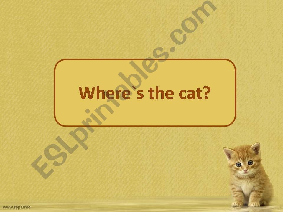 Where` s  the cat? powerpoint